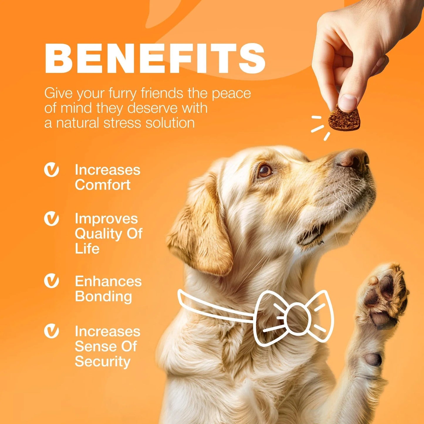 Dog Allergy Relief Chews – Itch & Skin Support with Salmon Oil, Immune Boost, Hot Spot & Seasonal Allergy Aid.