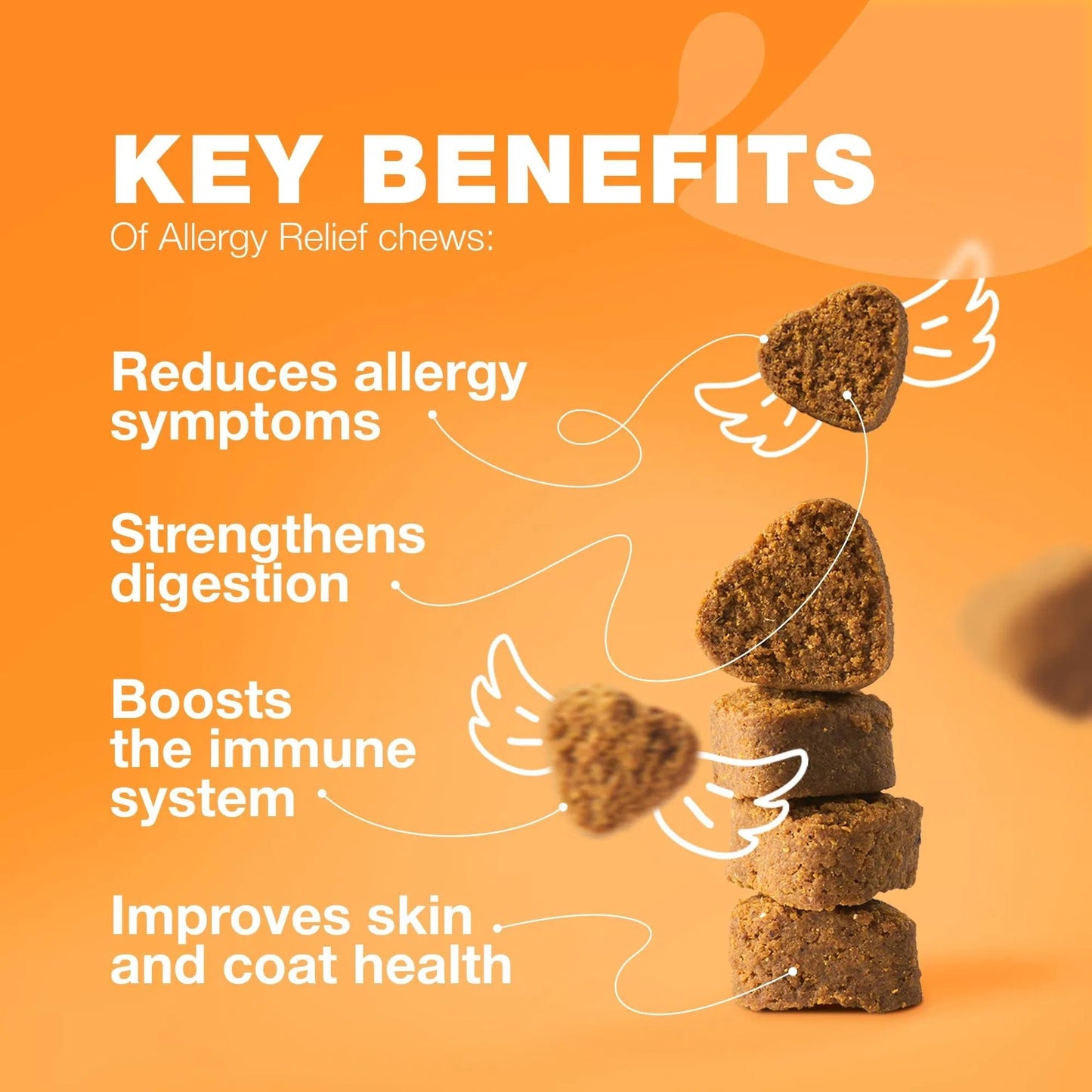 Dog Allergy Relief Chews – Itch & Skin Support with Salmon Oil, Immune Boost, Hot Spot & Seasonal Allergy Aid.