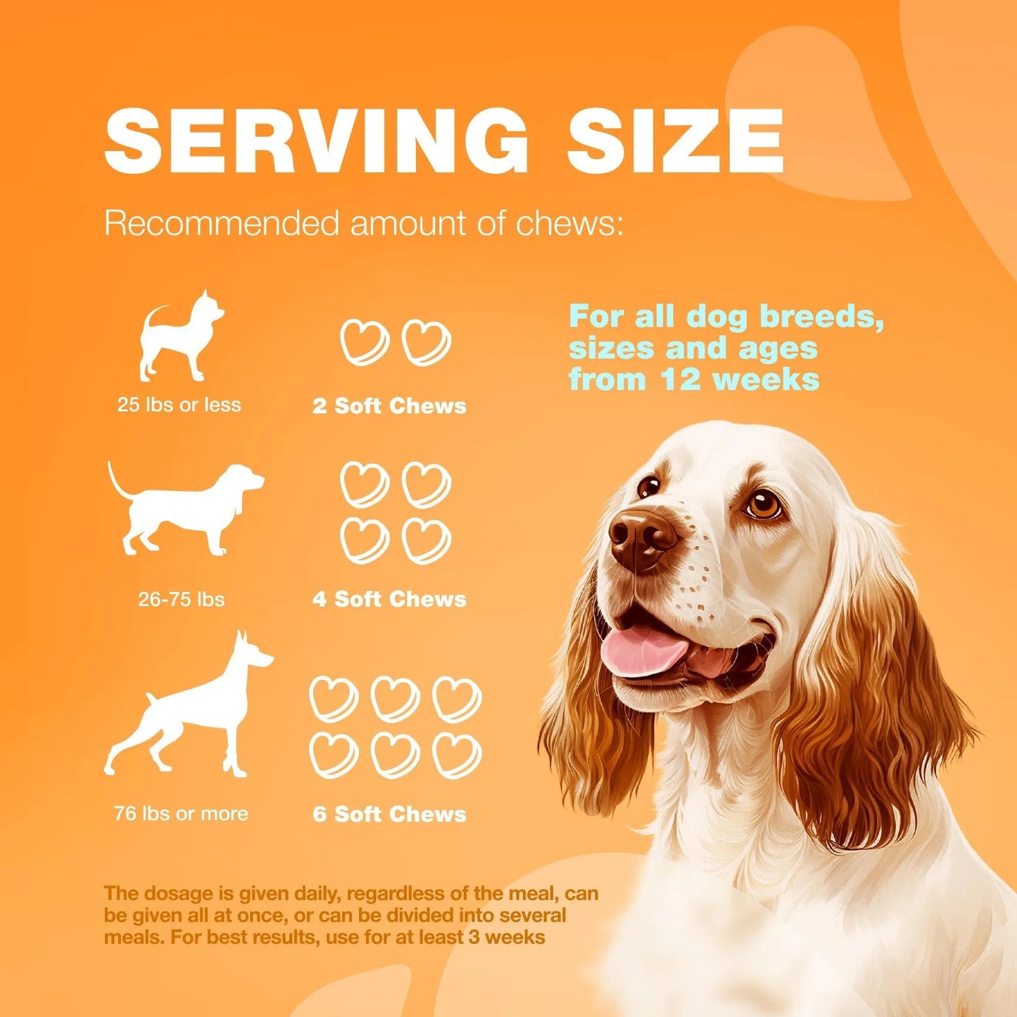 Dog Allergy Relief Chews – Itch & Skin Support with Salmon Oil, Immune Boost, Hot Spot & Seasonal Allergy Aid.