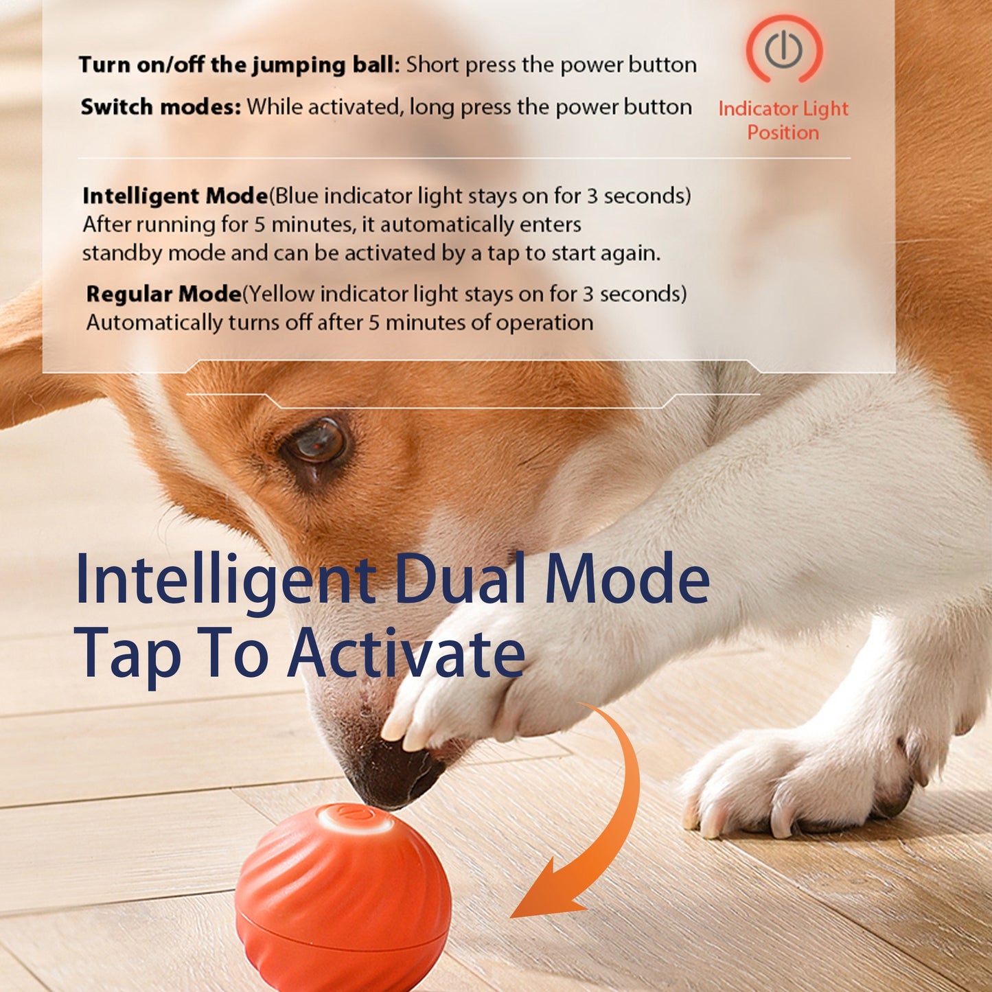 Interactive Bouncing Ball For Dogstimulating Toy